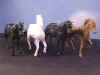 cts horses.jpg (28098 bytes)